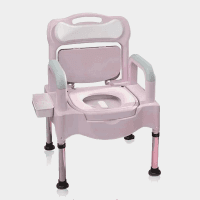 Ghế Ngồi Vệ Sinh Người Già